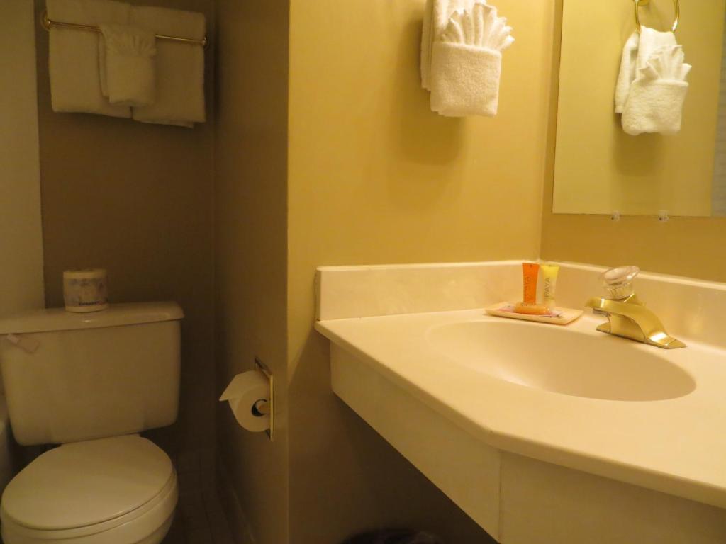 Athabasca Hotel Jasper Room photo